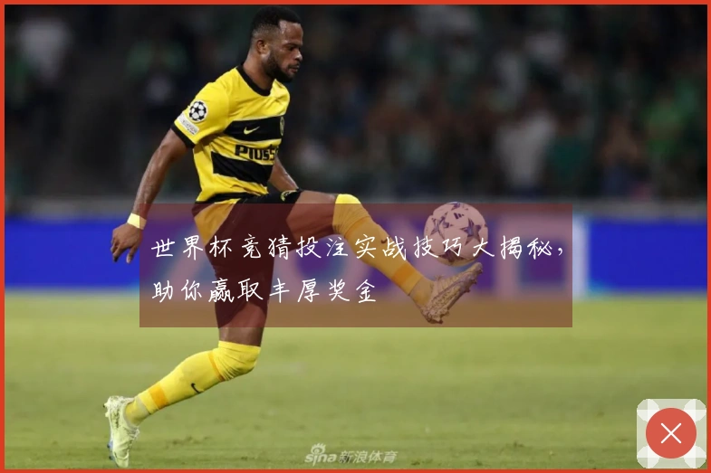世界杯竞猜投注实战技巧大揭秘，助你赢取丰厚奖金
