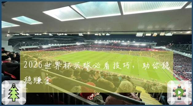 2026世界杯买球必看技巧，助你稳稳赚金